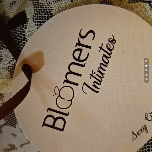 Panties by Bloomers Intimates New with Tag 3 pair Lace - Picture 5 of 6